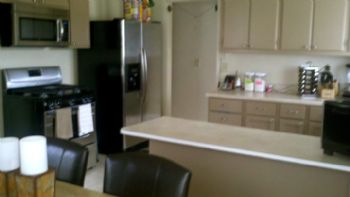 TurtleLov3r profile photo