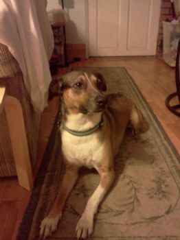 SeanMF profile photo