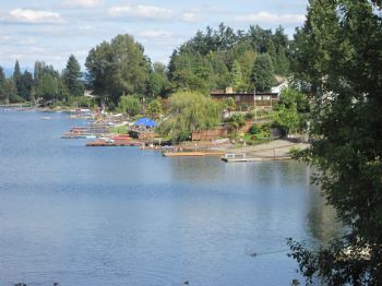 marius2203 profile photo