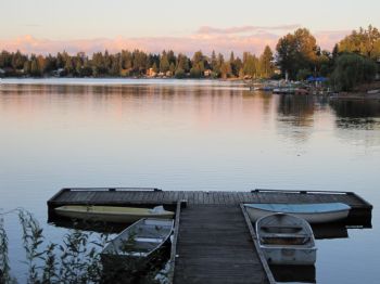 marius2203 profile photo