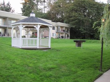 marius2203 profile photo