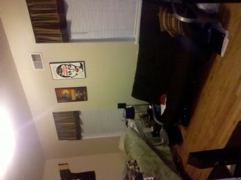 colinearyes profile photo