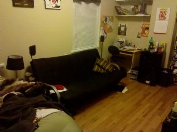 colinearyes profile photo