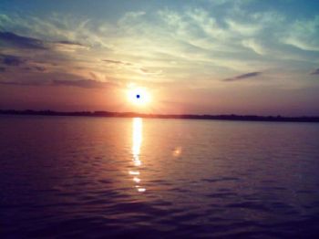 dale69 profile photo