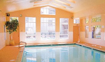 Shuffle profile photo