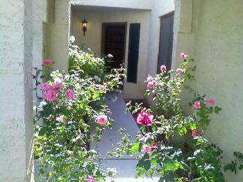 felicia7088 profile photo