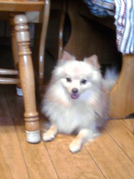 alyssa_g profile photo