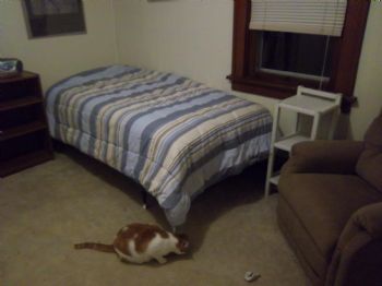 kirstena profile photo