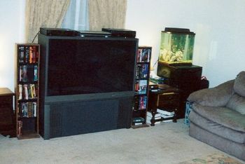 netguy3333 profile photo