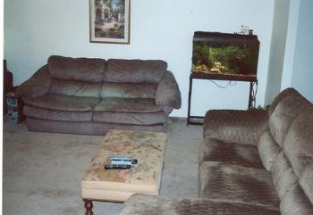 netguy3333 profile photo