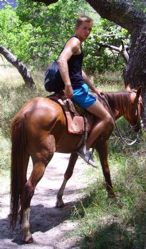 niswegmann profile photo