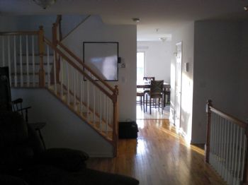 eboehm01 profile photo