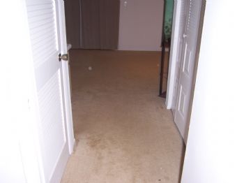 thomasfayth profile photo