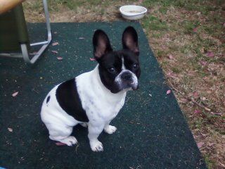 JEAN2010 profile photo