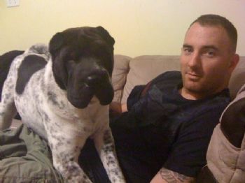 bcoots profile photo