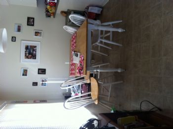 kira.sachi profile photo