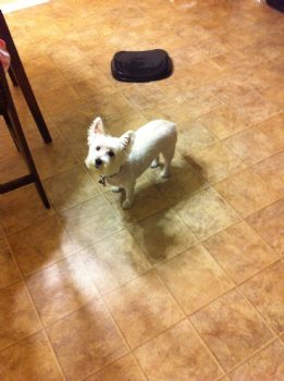 summerdawn21 profile photo