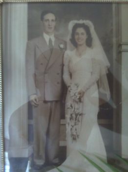 jknob1986 profile photo