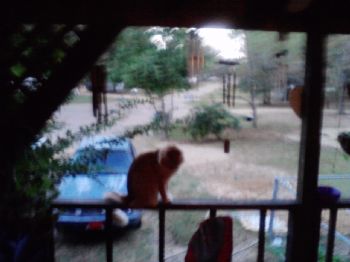 bilibob11 profile photo