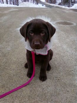 sarahtessa profile photo