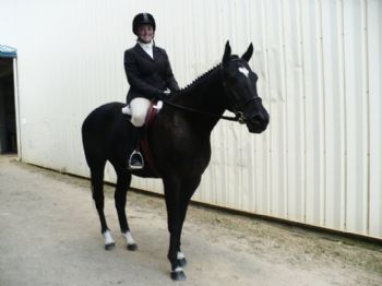 stablehand13 profile photo