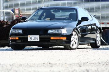 stablehand13 profile photo