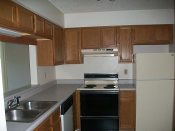 skeff22 profile photo