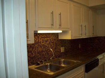 sbraunstein profile photo