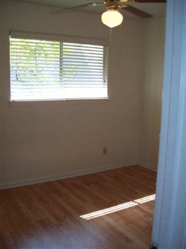 sbraunstein profile photo