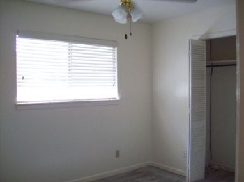 sbraunstein profile photo