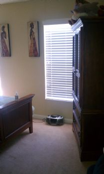 clgreen6 profile photo