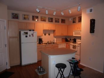 birdbeil profile photo