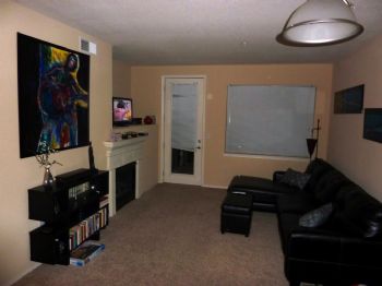 birdbeil profile photo