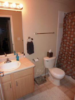 birdbeil profile photo