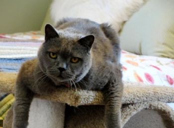 berniebear40 profile photo