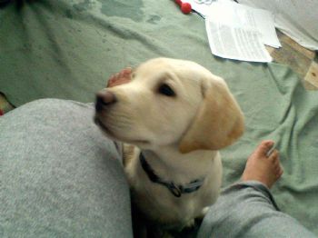 emlowe profile photo