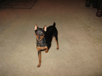 1happygirl profile photo