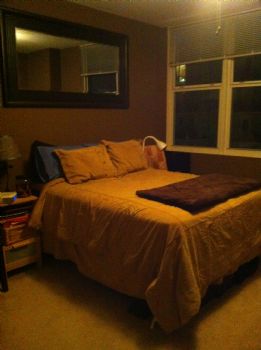 fljayhawk profile photo