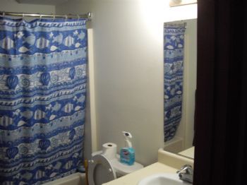 eadulzo profile photo