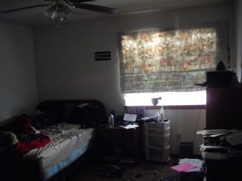 eadulzo profile photo