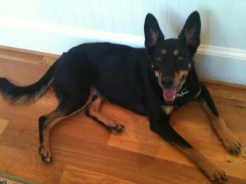 NannyGirl profile photo