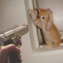 Flashbamangs profile photo