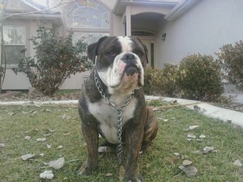 perfect evel profile photo