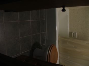 NatureLover3 profile photo