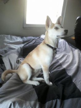 john_88 profile photo