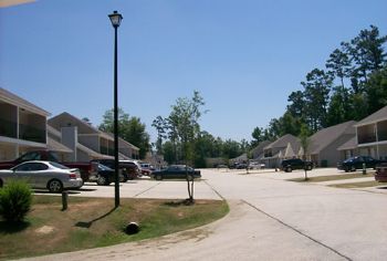 jmwatso profile photo