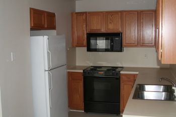 jmwatso profile photo