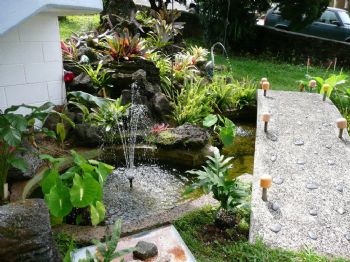 pochoman2 profile photo