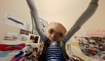 csnelson92 profile photo