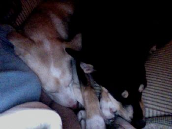 kelseynickol profile photo